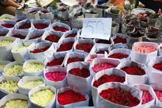 photo,material,free,landscape,picture,stock photo,Creative Commons,The rose counter, rose, rose, rose, market