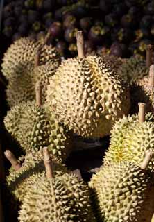 photo,material,free,landscape,picture,stock photo,Creative Commons,A durian, Fruit, Fruit, durian, smell