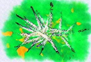Illust, materieel, vrij, landschap, schilderstuk, schilderstuk, kleuren potlood, crayon, werkje,Een witte bloem, Blanke, Kroonblad, Groen, Vel