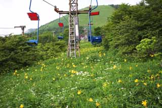 fotografia, material, livra, ajardine, imagine, proveja fotografia,Um ski lift em planalto de Kisuge, ski lift, Eu sou semelhante e uma criana est isolada e fixa isto, lrio de dia, Nikko