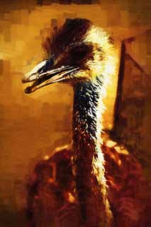 illustration,material,free,landscape,picture,painting,color pencil,crayon,drawing,I am rare, I am rare, An ostrich, bird, 