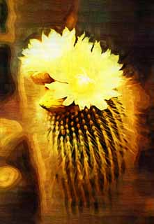 illust, matire, libre, paysage, image, le tableau, crayon de la couleur, colorie, en tirant,Une fleur jaune d'un cactus, , cactus, , 