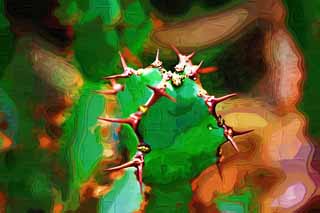 Illust, materieel, vrij, landschap, schilderstuk, schilderstuk, kleuren potlood, crayon, werkje,Een cactus, , Cactus, , 