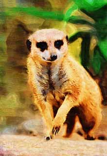 illust, material, livram, paisagem, quadro, pintura, lpis de cor, creiom, puxando,Meerkat, Meerkat, , mongoose, Ascendncia familiar