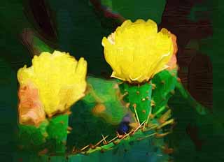 Illust, materieel, vrij, landschap, schilderstuk, schilderstuk, kleuren potlood, crayon, werkje,Een gele bloem van een cactus, , Cactus, , 