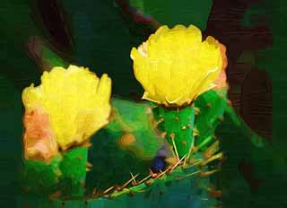 illustration,material,free,landscape,picture,painting,color pencil,crayon,drawing,A yellow flower of a cactus, , cactus, , 