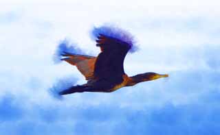 illust, matire, libre, paysage, image, le tableau, crayon de la couleur, colorie, en tirant,Un cormoran, , cormoran, , oiseau sauvage