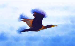 illust, materiell, befreit, Landschaft, Bild, Gemlde, Farbbleistift, Wachsmalstift, Zeichnung,,Ein Kormoran, , Kormoran, , wilder Vogel