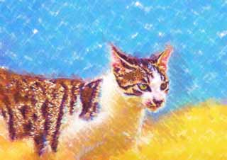 illust,tela,gratis,paisaje,fotografa,idea,pintura,Lpiz de color,dibujo,Gato fresco, Gato, , , 