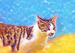 illust, materiell, befreit, Landschaft, Bild, Gemlde, Farbbleistift, Wachsmalstift, Zeichnung,,Khlen Sie Katze ab, Katze, , , 