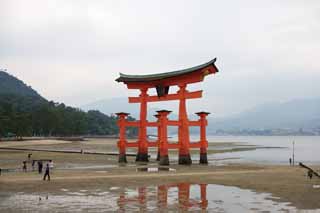 Foto, materieel, vrij, landschap, schilderstuk, bevoorraden foto,Otorii van Itsukushima-jinja Heiligdom, Wereldwijd cultureel heritage, Otorii, Shinto heiligdom, Ik ben cinnabar rood