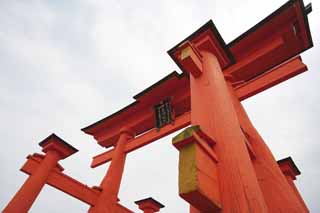 Foto, materieel, vrij, landschap, schilderstuk, bevoorraden foto,Otorii van Itsukushima-jinja Heiligdom, Wereldwijd cultureel heritage, Otorii, Shinto heiligdom, Ik ben cinnabar rood