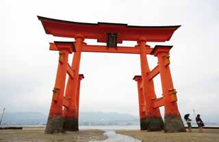 fotografia, material, livra, ajardine, imagine, proveja fotografia,Otorii de santurio de Itsukushima-jinja, A herana cultural de mundo, Otorii, Santurio de Xintosmo, Eu sou vermelho de cinbrio