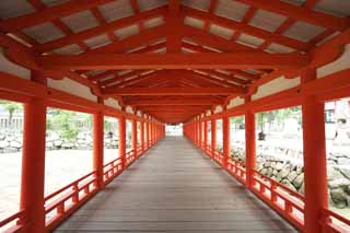 fotografia, material, livra, ajardine, imagine, proveja fotografia,Um corredor de Santurio de Itsukushima-jinja, A herana cultural de mundo, Otorii, Santurio de Xintosmo, Eu sou vermelho de cinbrio