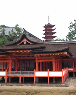 Foto, materiell, befreit, Landschaft, Bild, hat Foto auf Lager,Ein Hauptschrein von Itsukushima-jinja Shrine, Das kulturelle Erbe von Welt, Hauptschrein, Schintoistischer Schrein, Ich bin Zinnober rot