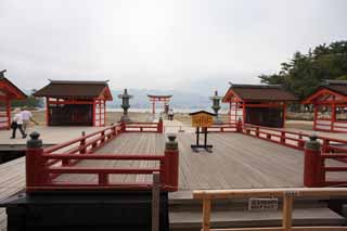 photo, la matire, libre, amnage, dcrivez, photo de la rserve,La haute tape de Temple Itsukushima-jinja, L'hritage culturel de Monde, temple principal, Temple shintoste, Je suis rouge du cinabre