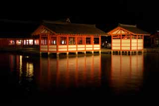 fotografia, material, livra, ajardine, imagine, proveja fotografia,A noite de Santurio de Itsukushima-jinja, A herana cultural de mundo, santurio principal, Santurio de Xintosmo, Eu sou vermelho de cinbrio