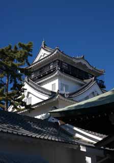 photo,material,free,landscape,picture,stock photo,Creative Commons,Okazaki Castle, castle, roof, Ieyasu Tokugawa, The history