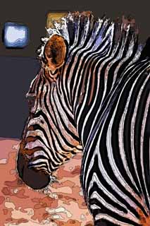 illust,tela,gratis,paisaje,fotografa,idea,pintura,Lpiz de color,dibujo,Una cebra, Un caballo de isla, Cebra, , La crin