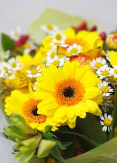photo,material,free,landscape,picture,stock photo,Creative Commons,A fancy bouquet, flower, bouquet, The presentation, Yellow