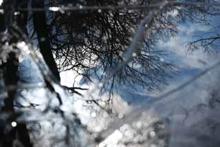 foto,tela,gratis,paisaje,fotografa,idea,El cielo que es estropeado, Hielo, Lago, Lake Onuma, Temperatura de congelacin