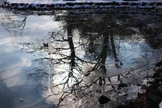 foto,tela,gratis,paisaje,fotografa,idea,El cielo que es estropeado, Hielo, Lago, Lake Onuma, Temperatura de congelacin