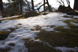 Foto, materiell, befreit, Landschaft, Bild, hat Foto auf Lager,Schnee wird aufwrts beladen, Baum, Hgel, See Onuma, Moos