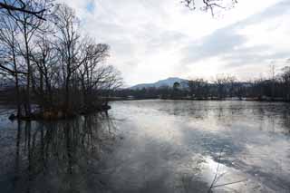 fotografia, materiale, libero il panorama, dipinga, fotografia di scorta,Scena di inverno di Onumakoen, albero, lago, Lago Onuma, Il sole