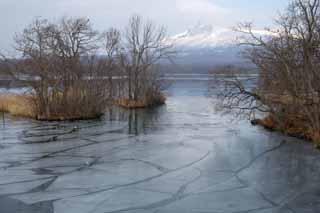 foto,tela,gratis,paisaje,fotografa,idea,Lugar de invierno de Onumakoen, , Lago, Lake Onuma, Cielo azul