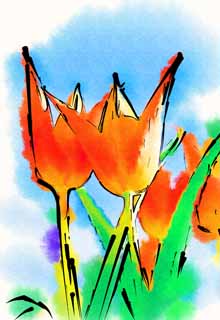illustration,material,free,landscape,picture,painting,color pencil,crayon,drawing,A blue sky and a good friend, , tulip, petal, In spring