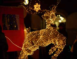 Foto, materiell, befreit, Landschaft, Bild, hat Foto auf Lager,Festliche Beleuchtung eines Hirsches, Festliche Beleuchtung, Weihnachtsbaum, Licht, Kutsche