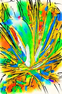 illust, matire, libre, paysage, image, le tableau, crayon de la couleur, colorie, en tirant,Un agave, , cactus, Mescal, plante d'intrieur