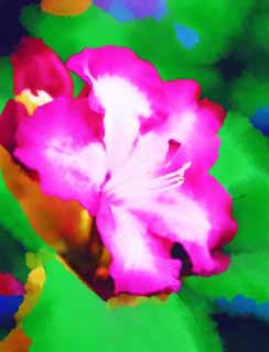 illust, materiell, befreit, Landschaft, Bild, Gemlde, Farbbleistift, Wachsmalstift, Zeichnung,,Ein Rhododendron, , Rhododendron, Bltenblatt, 