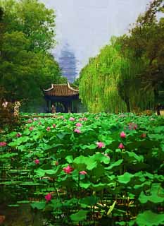 illustration,material,free,landscape,picture,painting,color pencil,crayon,drawing,Zhuozhengyuan, pond, lotus, , garden