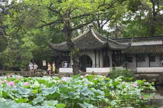 photo,material,free,landscape,picture,stock photo,Creative Commons,The architecture of Zhuozhengyuan, Architecture, circle, Hasuike, garden