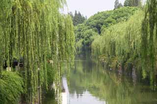 photo, la matire, libre, amnage, dcrivez, photo de la rserve,Un canal de Suzhou, saule, canal, berge, Eau