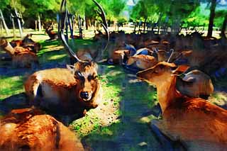 illustration,material,free,landscape,picture,painting,color pencil,crayon,drawing,A deer of Nara, , deer, , corner