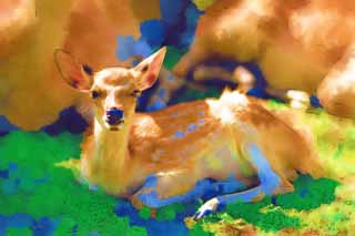 illust, matire, libre, paysage, image, le tableau, crayon de la couleur, colorie, en tirant,Un cerf de Nara, , cerf, , Bambi