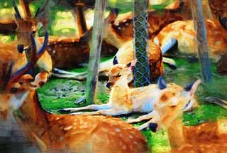 illustration,material,free,landscape,picture,painting,color pencil,crayon,drawing,A deer of Nara, , deer, , Bambi