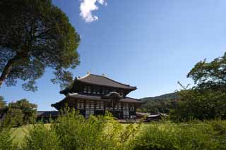 photo, la matire, libre, amnage, dcrivez, photo de la rserve,Le couloir de temple Todai-ji du grand Bouddha, grande statue de Bouddha, btiment en bois, Bouddhisme, temple