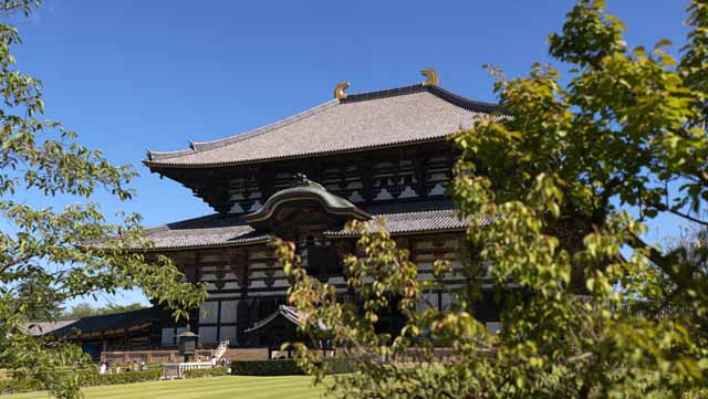 Foto, materiell, befreit, Landschaft, Bild, hat Foto auf Lager,Der Todai-ji-Tempel Hall vom groen Buddha, groe Statue von Buddha, hlzernes Gebude, Buddhismus, Tempel