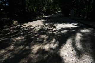 Foto, materiell, befreit, Landschaft, Bild, hat Foto auf Lager,Schatten eines Baumweges, Der Schatten eines Baumes, Die Sonne, Der Schatten, Baum