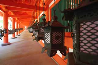 , , , , ,  .,Kasuga Taisha Shrine , Shinto, Shinto shrine,    ,  