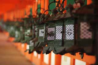 photo,material,free,landscape,picture,stock photo,Creative Commons,Kasuga Taisha Shrine corridor, Shinto, Shinto shrine, I am painted in red, garden lantern