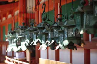 fotografia, materiale, libero il panorama, dipinga, fotografia di scorta,La lanterna orto di Kasuga Taisha il Sacrario, Scintoismo, Sacrario scintoista, Io sono dipinto in rosso, lanterna orto