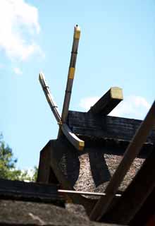 ,,, ,,, Kasuga  Taisha  , .,  .,  .  ,  .  