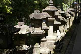 photo,material,free,landscape,picture,stock photo,Creative Commons,The row of stone lantern baskets, Illumination, stone lantern basket, The shade, Moss