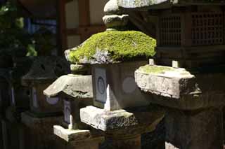 photo,material,free,landscape,picture,stock photo,Creative Commons,The row of stone lantern baskets, Illumination, stone lantern basket, The shade, Moss