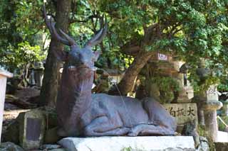 photo,material,free,landscape,picture,stock photo,Creative Commons,The bronze statue of the deer, , deer, deer, figure in bronze