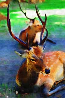 illust, materiale, libero panorama, ritratto dipinto, matita di colore disegna a pastello, disegnando,Un cervo di Nara, , cervo, , angolo